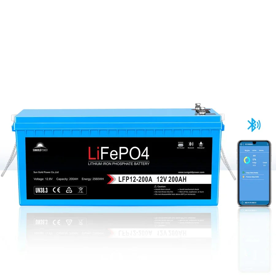 SunGoldPower 2000W DC 12V Pure Sine Wave Inverter with Charger - Image 9