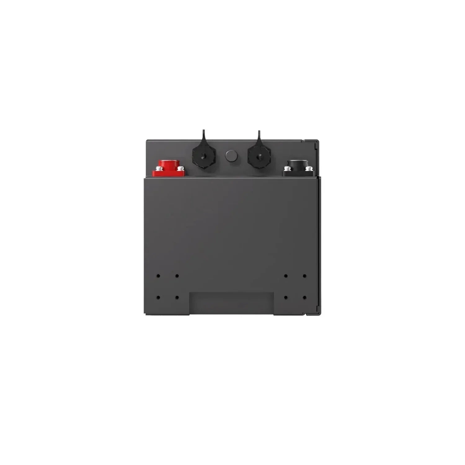 Renogy Pro S1 12V 120Ah LiFePO4 Battery - Image 6