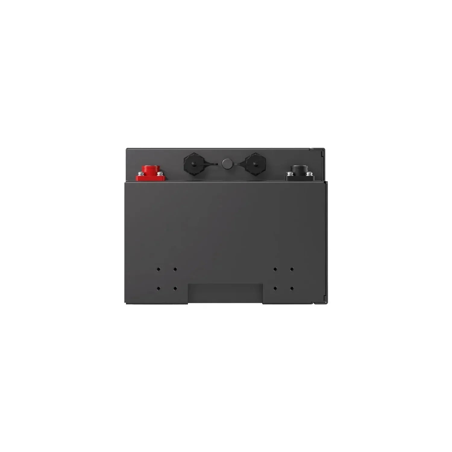 Renogy Pro S1 12V 240Ah LiFePO4 Battery - Image 3